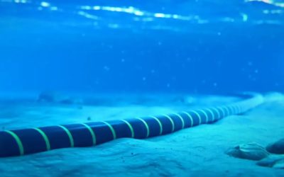 Fibre optique : Meta veut dérouler le câble sous-marin Waterworth, le plus long au monde après 2 Africa
