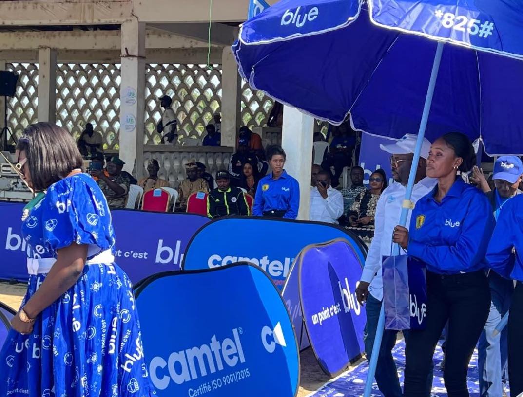 repenser-le-positionnement-de-camtel-:-strategies-marketing-pour-conquerir-le-marche-camerounais